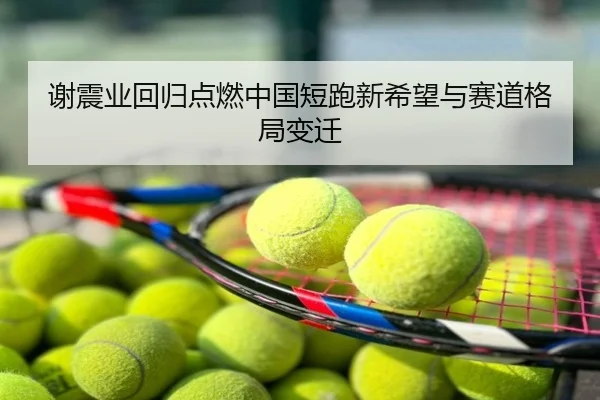 谢震业回归点燃中国短跑新希望与赛道格局变迁